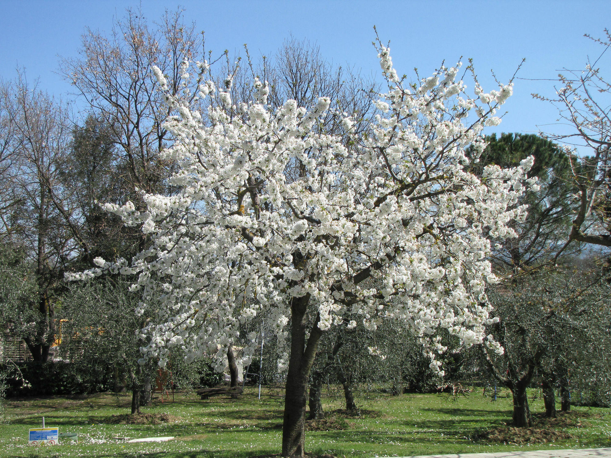 Poggio Delle Rose Tuscany Relais Chianciano Terme Kültér fotó